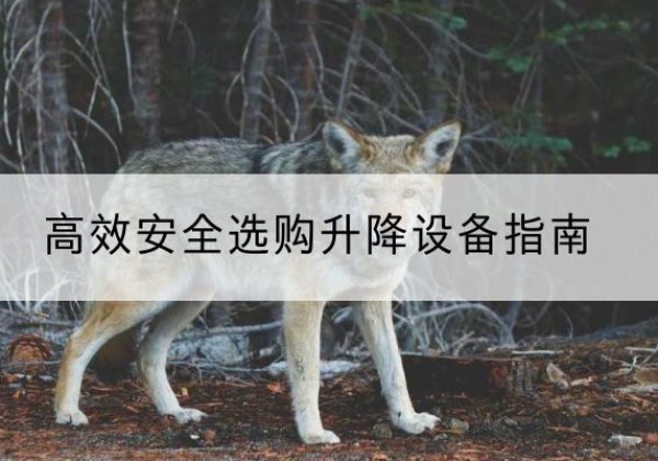 柳河升降货梯厂家推荐-*安全选购升降设备指南