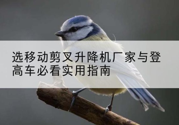 柳河电动升降机厂家-选移动剪叉升降机厂家与登高车必看实用指南