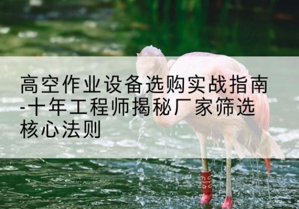 柳河剪叉式升降机厂家-高空作业设备选购实战指南-十年工程师揭秘厂家筛选核心法则